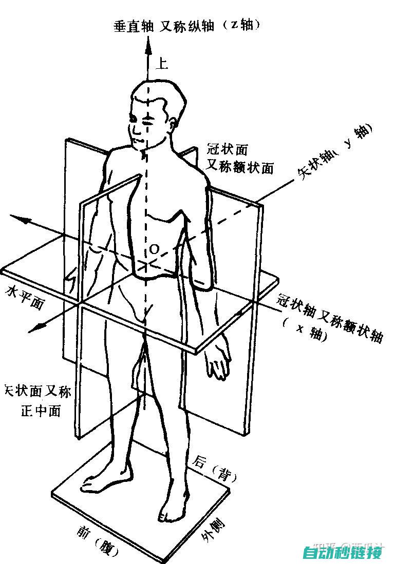 全方位剖析V90伺服皮带的应用领域及市场趋势 (全方位剖析嫉妒心理学)