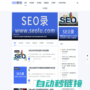 SEO_网站优化_SEO优化公司_关键词排名_谷歌推广_seo快速排名_SEO录优化网